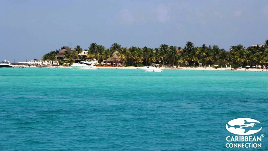 Isla Mujeres Unlimited